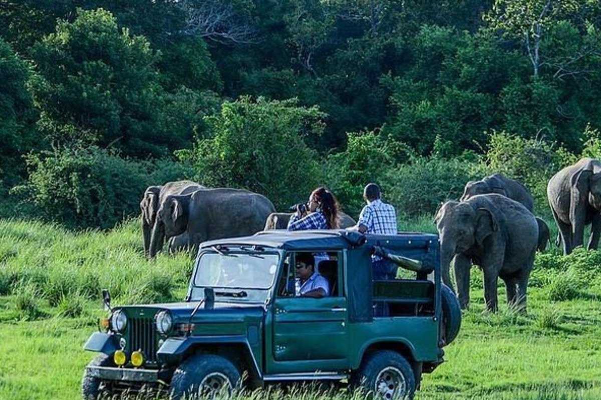 UWS 54